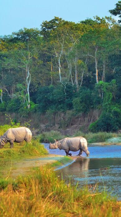 Chitwan National Park